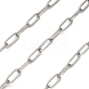 Stainless Steel Oval Paperclip Chains CHS-G040-01A-P-1