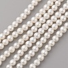Grade AAA Natural Cultured Freshwater Pearl Beads Strands PEAR-G007-24-1