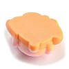 Pig Theme Opaque Resin Decoden Cabochons LS-RESI-C042-03C-2