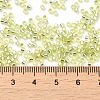 Glass Seed Beads X-SEED-S042-04B-24-4