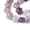 Natural Amethyst Star Beads Strands G-Z080-A04-4