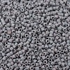MIYUKI Delica Beads SEED-X0054-DB0882-2