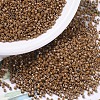 MIYUKI Delica Beads SEED-J020-DB0664-1