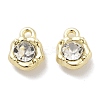 Rack Plating Alloy Rhinestone Charms PALLOY-F311-17G-01-1