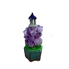 Natural Amethyst Pavilion Bonsai Decorations PW-WG69157-01-1