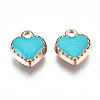 Alloy Enamel Charms ENAM-Q033-51F-3