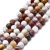 Natural Ocean Jasper Beads Strands G-P457-C02-06-1