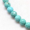 Natural Howlite Round Beads Strands TURQ-L017-3mm-02B-2