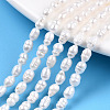 Natural Cultured Freshwater Pearl Beads Strands PEAR-N012-03K-1