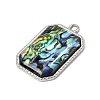 304 Stainless Steel & Natural Paua Shell Pendants SH-CBA7184-01C-P-2