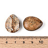 Natural Picture Jasper Pendants G-T143-18A-07-3
