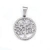 Non-Tarnish 304 Stainless Steel Pendants STAS-P209-14P-1