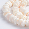 Natural Pink Shell Beads Strands SSHEL-L016-19-2