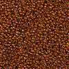 TOHO 11/0 Round Beads X-SEED-TR11-0303-2