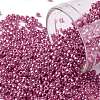 TOHO Round Seed Beads SEED-JPTR11-PF0563-1
