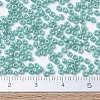 MIYUKI Round Rocailles Beads X-SEED-G007-RR0481-3