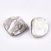 Freshwater Shell Beads X-SSHEL-T005-11-3
