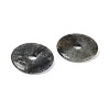 Natural Labradorite Big Pendants G-T144-43G-2