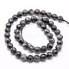 Natural Larvikite Beads Strands G-G736-01-10mm-2