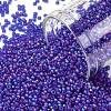 TOHO Round Seed Beads SEED-JPTR15-0087F-1