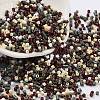 Baking Paint Glass Seed Beads X-SEED-S042-05B-55-1