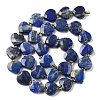 Natural Lapis Lazuli Beads Strands G-B044-B19-01-3