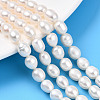Natural Cultured Freshwater Pearl Beads Strands PEAR-N012-07X-01-1