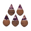 Transparent Resin and Walnut Wood Pendants RESI-T057-06H-1