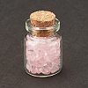 Transparent Glass Wishing Bottle Decoration LS-DJEW-A001-01A-07-2