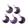 Natural Amethyst Pendants G-Z022-04C-01-1