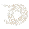 1 Strand Natural Cultured Freshwater Pearl Beads Strands PEAR-PH0001-17-1