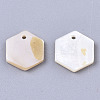 Natural Freshwater Shell Charms SHEL-R047-18-2
