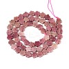 Natural Rhodonite Beads Strands G-N257-24A-09-3