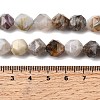 Natural Bamboo Leaf Agate Beads Strands G-Z119-A27-03-6
