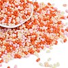 Glass Seed Beads SEED-K010-03N-1