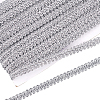 Sparkle Metallic Polyester Braided Lace Trim OCOR-WH0060-46D-1