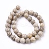 Natural Maifanite/Maifan Stone Beads Strands G-I187-10mm-01-6