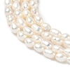 Natural Cultured Freshwater Pearl Beads Strands PEAR-C004-03-4