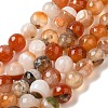 Natural Agate(Dyed & Heated) Beads Strands G-H066-B05-02-2