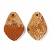 Natural Picture Jasper Pendants G-B030-23-2