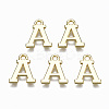 Alloy Charms LS-PALLOY-Q441-025A-NR-1