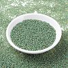 MIYUKI Round Rocailles Beads SEED-X0054-RR0374-2
