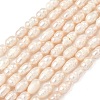 Natural Cultured Freshwater Pearl Beads Strands PEAR-D003-01D-16-2