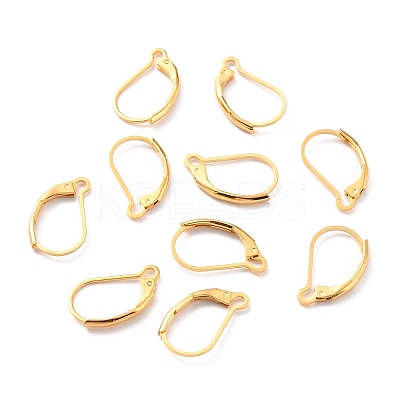 304 Stainless Steel Leverback Earring Findings STAS-K233-04G-1