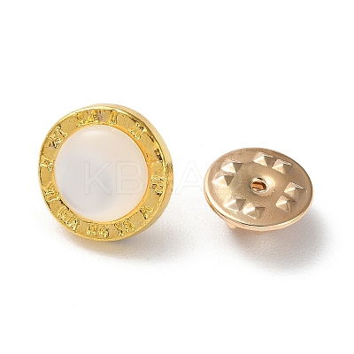 Zinc Alloy Rhinestone Brooches JEWB-F022-02B-1