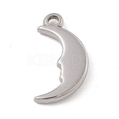 Non-Tarnish 304 Stainless Steel Pendants STAS-P316-19P-1