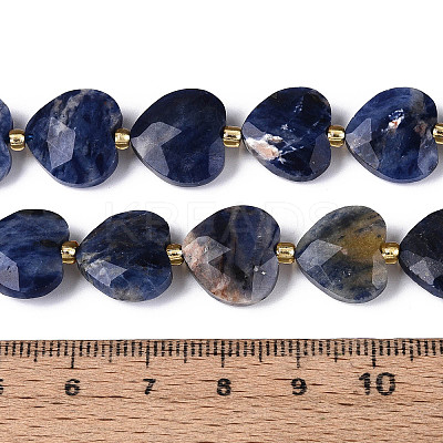 Natural Sodalite Beads Strands G-P592-B08-01-1