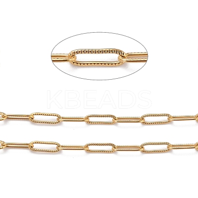 3.28 Feet 304 Stainless Steel Paperclip Chains X-CHS-D033-06G-01-1