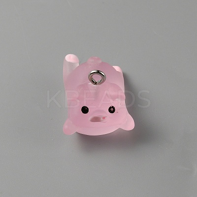 Luminous Translucent Resin Pendants RESI-SZC0004-01E-1