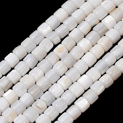 Natural Freshwater Shell Beads Strands SH-CBA2978-21C-1